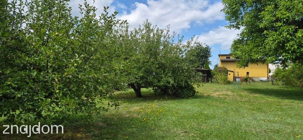 Dom plus działka usługowa - zdjęcie 6