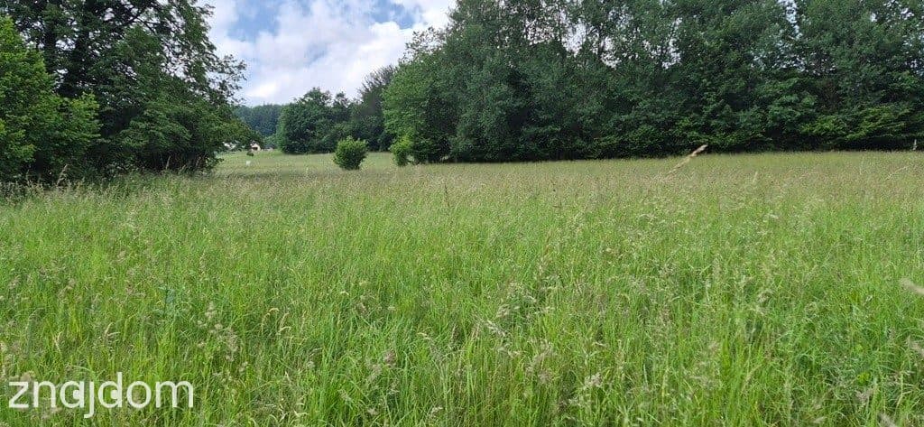 Widokowa działka - odkryj spokój w Beskidach - zdjęcie 2