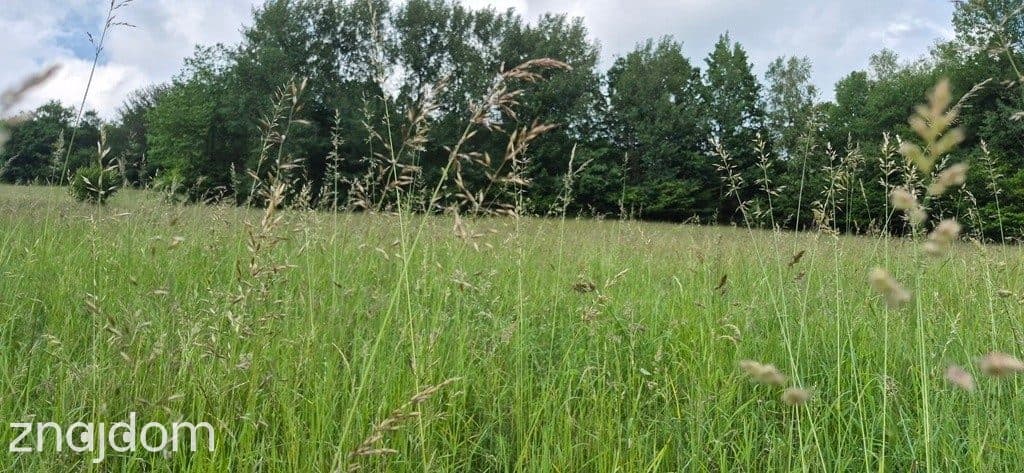 Widokowa działka - odkryj spokój w Beskidach - zdjęcie 5
