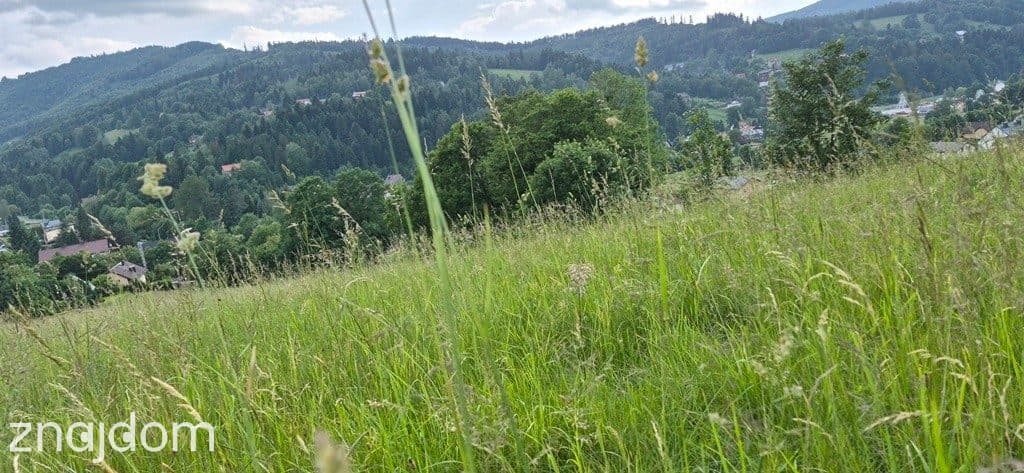 Widokowa działka - odkryj spokój w Beskidach - zdjęcie 6