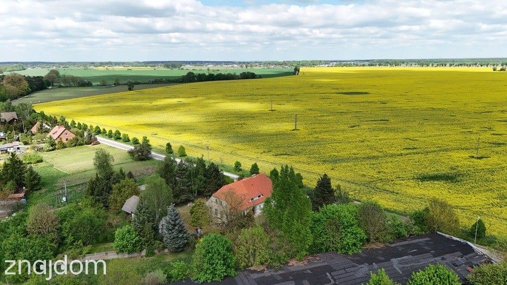 Działka zabudowana starą szkołą|jez.Niepruszewskie - zdjęcie 18