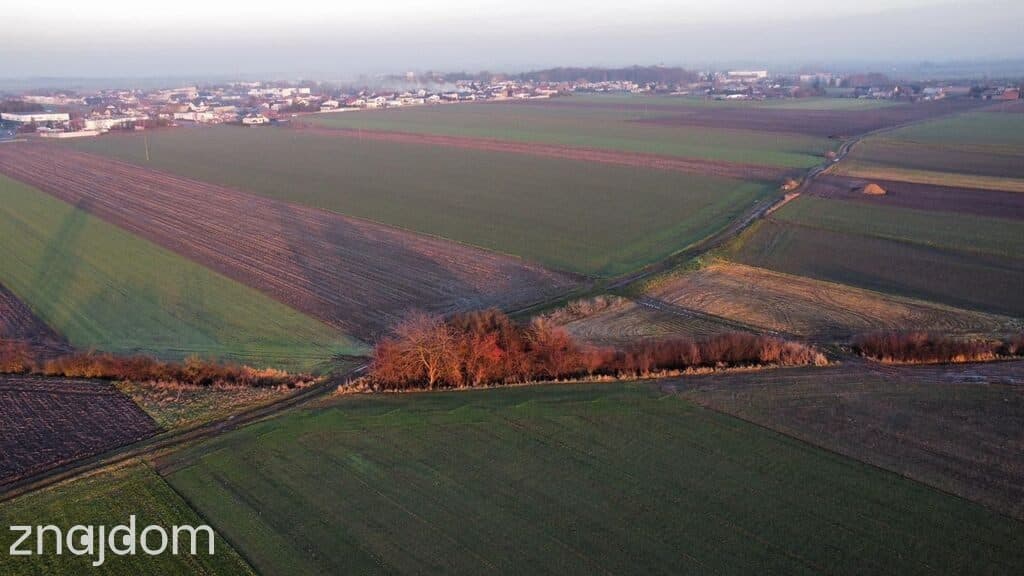 Działka inwestycyjna | Przemysł | 2,9ha - zdjęcie 2