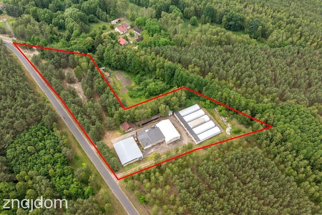 Miały, budynki, potencjał, MPZP usługi i produkcja - zdjęcie 4