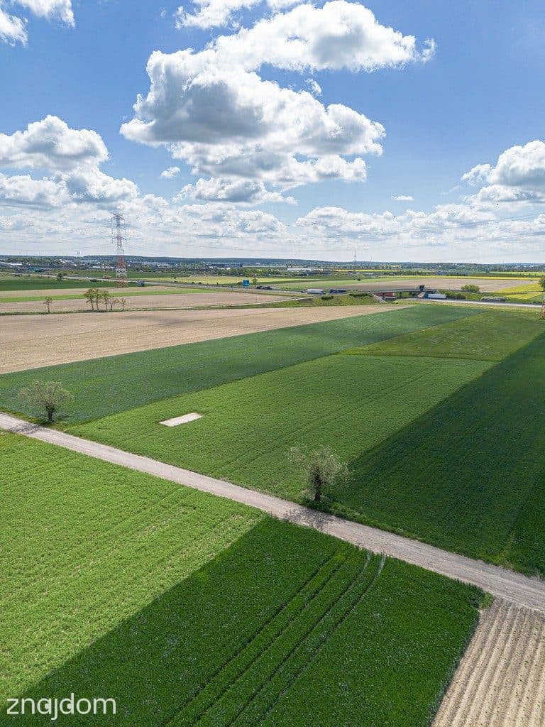 Wyjątkowa działka przemysłowa w Gołuskach - zdjęcie 11