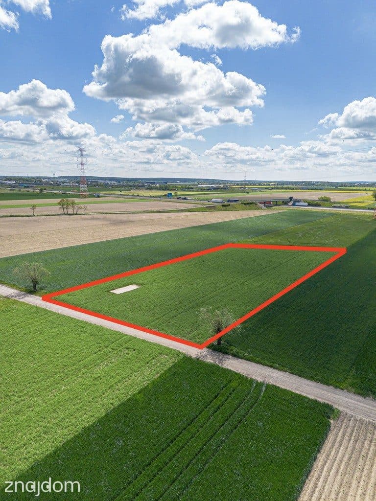 Wyjątkowa działka przemysłowa w Gołuskach - zdjęcie 9