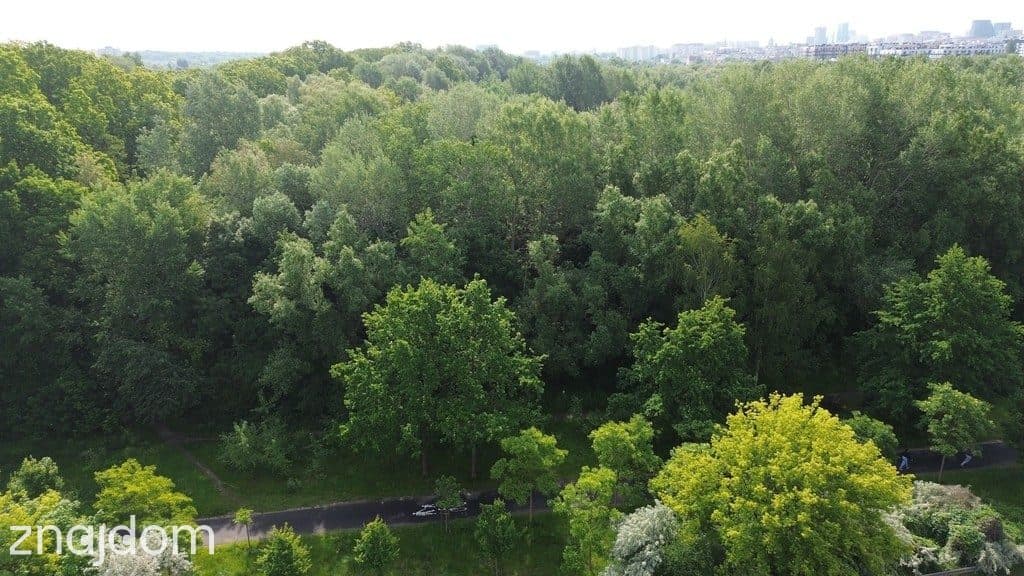 Na sprzedaż 50% udziałów działka Sołacz