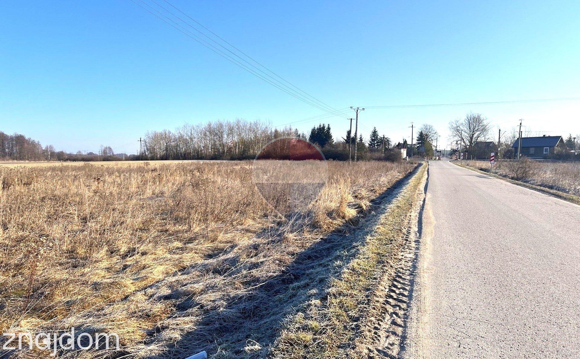 Działka inwestycyjna- Dąbrówka Zabłotnia 5169m2 - zdjęcie 10