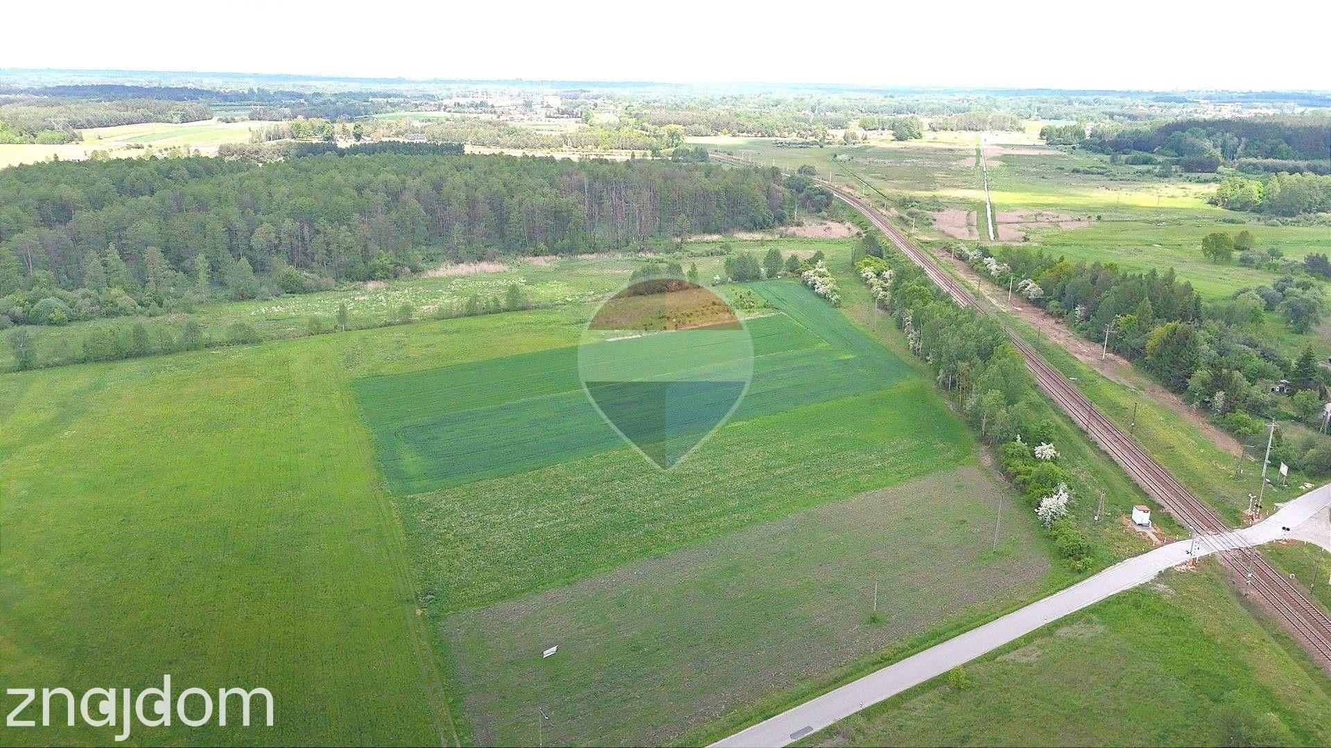 Działka inwestycyjna- Dąbrówka Zabłotnia 5169m2 - zdjęcie 6