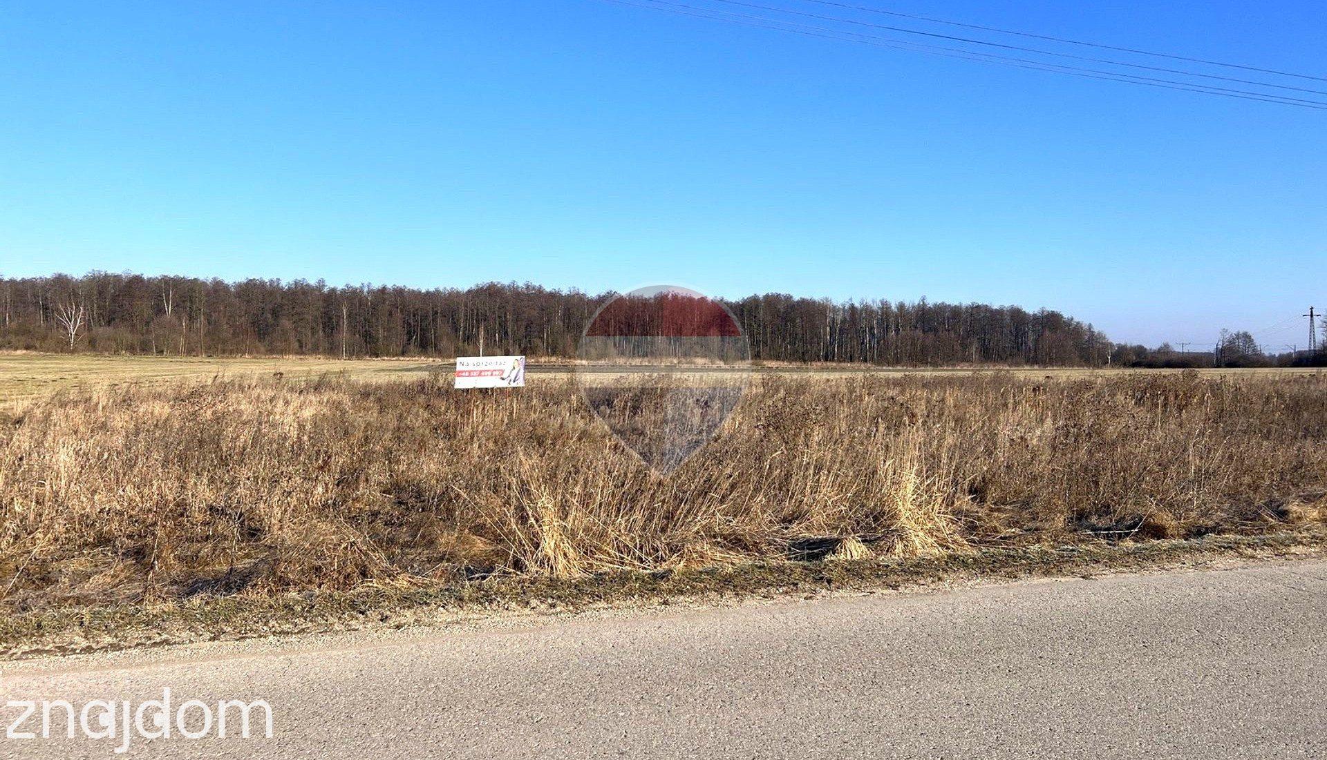 Działka inwestycyjna- Dąbrówka Zabłotnia 5169m2 - zdjęcie 9