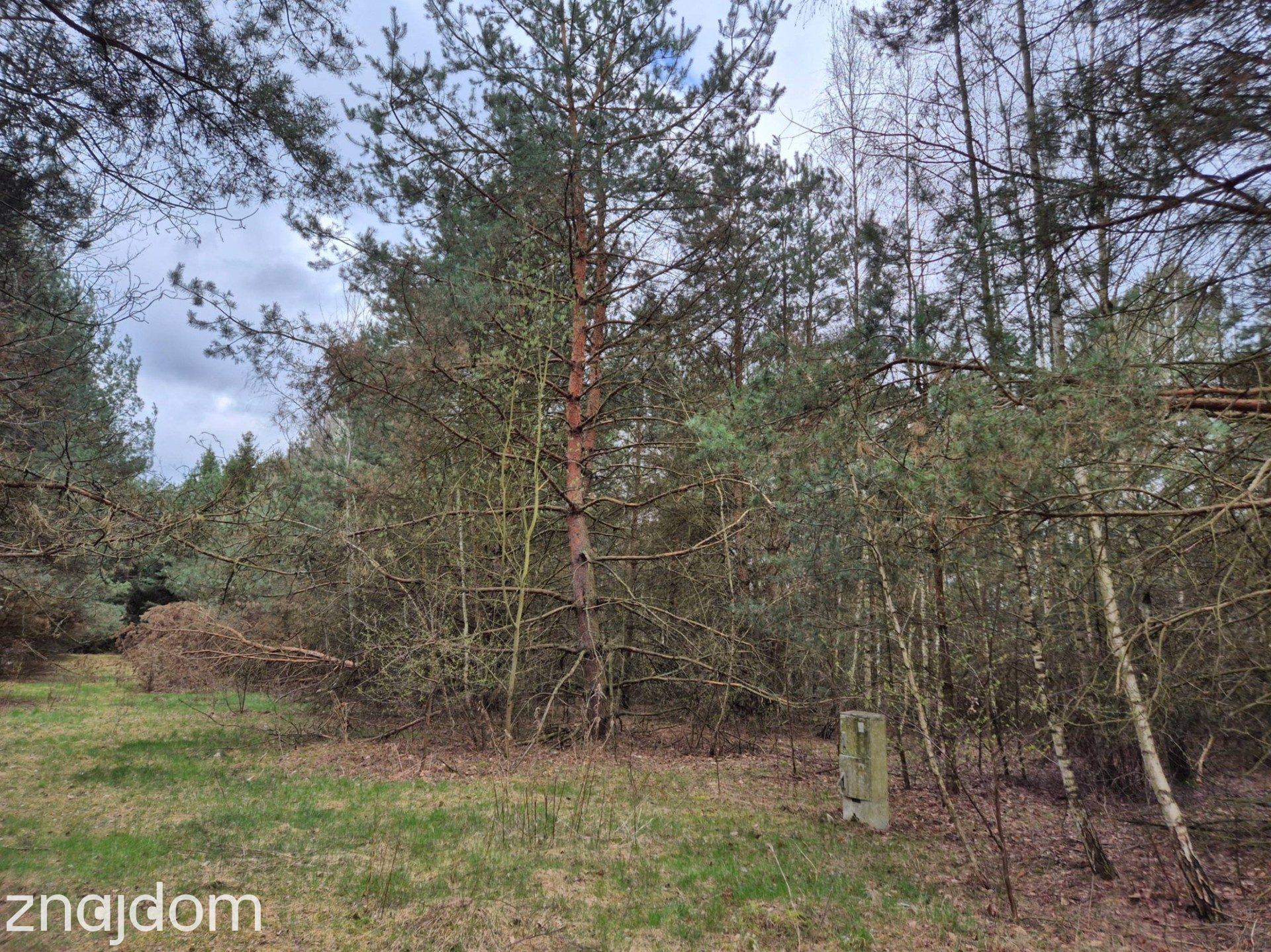 Działka budowlana 1434 m2, Kuklówka Radziejowicka - zdjęcie 2