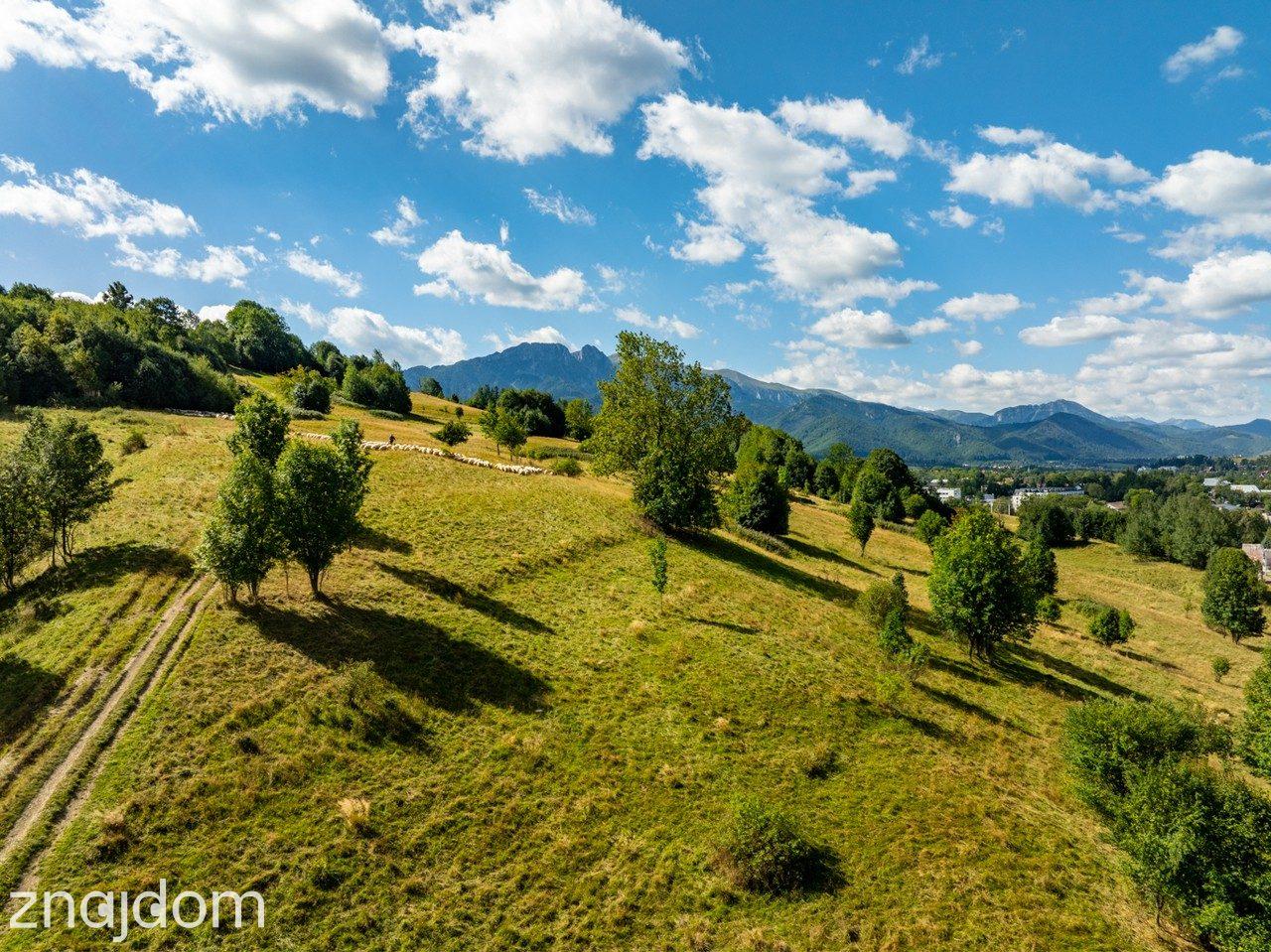 Grunt inwestycyjny – Bachledzki Wierch, Zakopane - zdjęcie 3