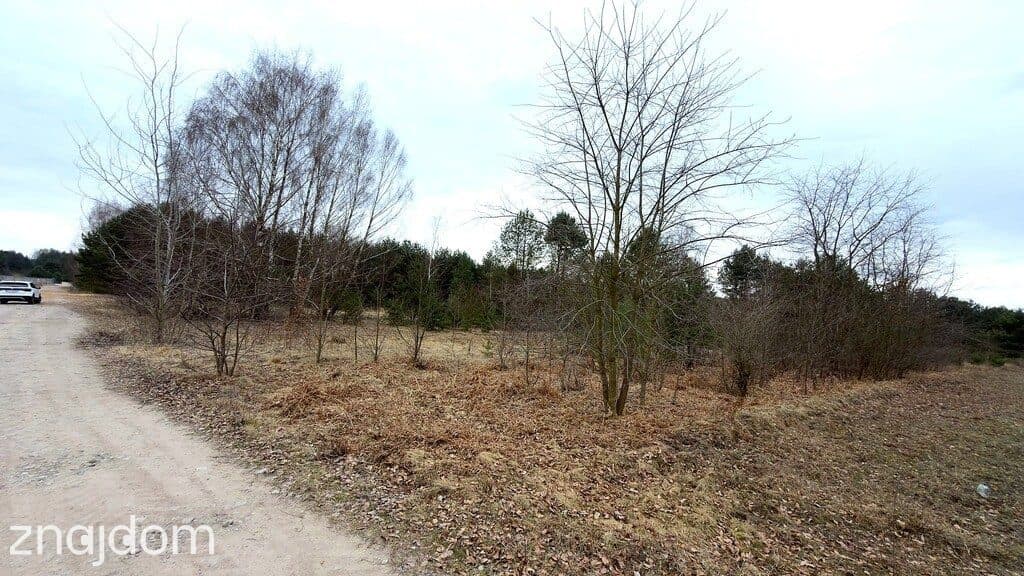 Działka inwestycyjna z MPZP k. Skierniewic - zdjęcie 5