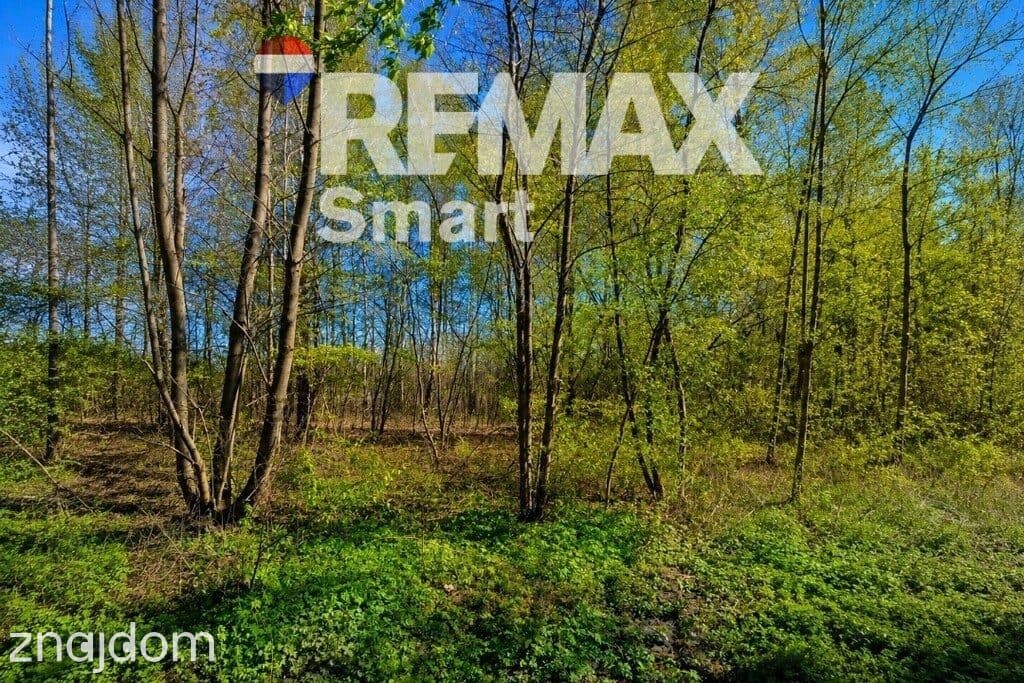 WYJĄTKOWA DZIAŁKA Z WZ 3204 m2 | GRABÓW NAD PILICĄ - zdjęcie 5