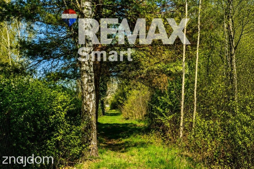 WYJĄTKOWA DZIAŁKA Z WZ 3204 m2 | GRABÓW NAD PILICĄ - zdjęcie 6
