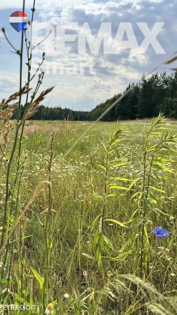 Atrakcyjna działka budowlana w otoczeniu lasu. - zdjęcie 3