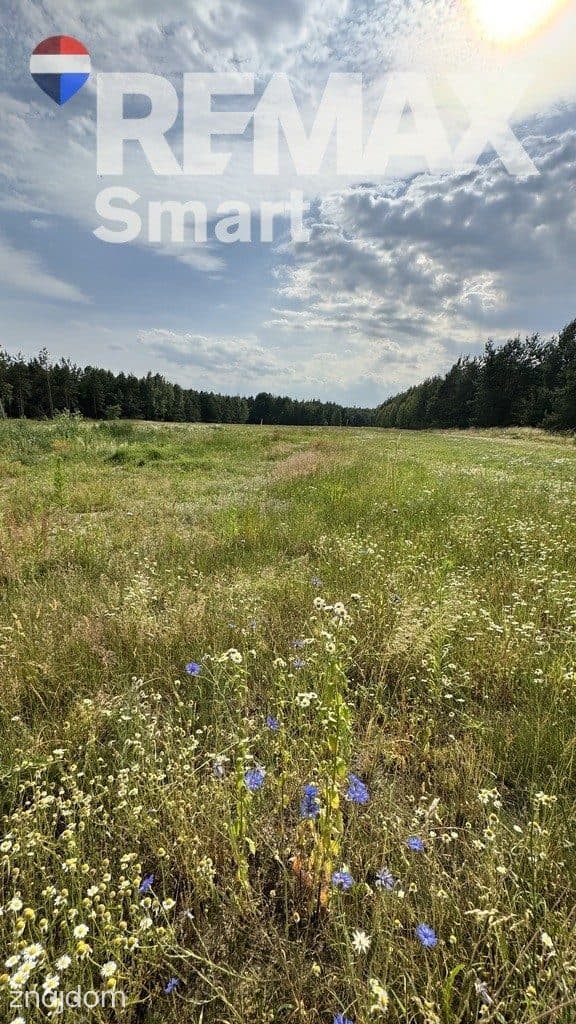 Atrakcyjna działka budowlana w otoczeniu lasu. - zdjęcie 5