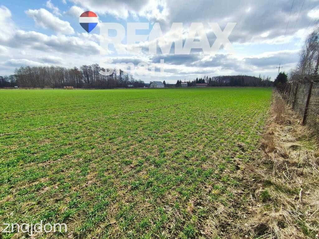 Działka budowlana w pobliżu Płocka - zdjęcie 11