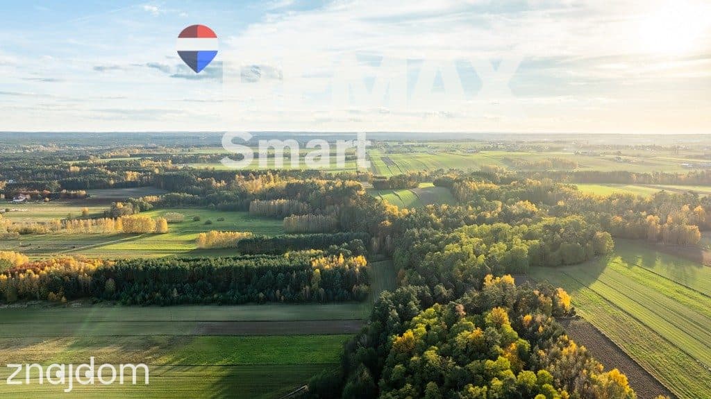 Dom z potencjałem w Toporowie z dużą działką - zdjęcie 11