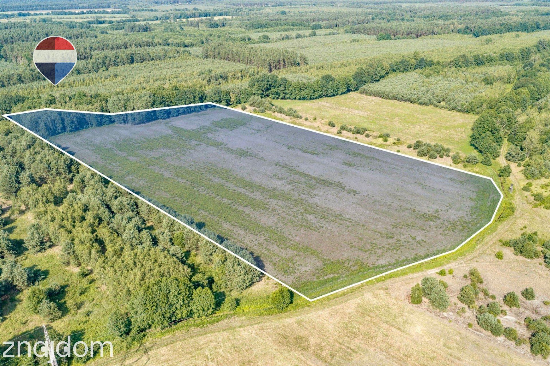 Działka rolna 5,21 ha w Jarogniewicach