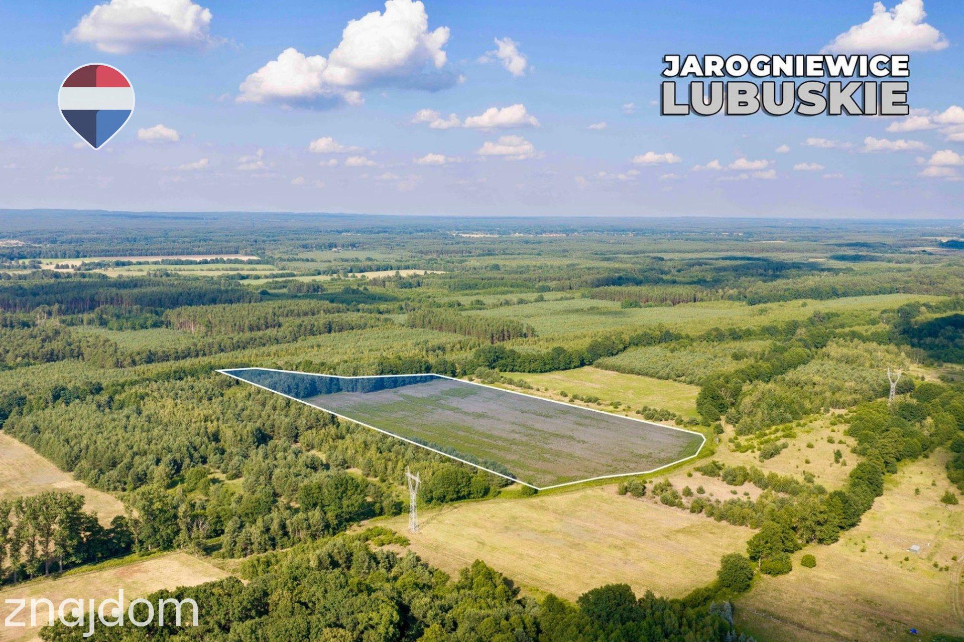 Działka rolna 5,21 ha w Jarogniewicach - zdjęcie 12