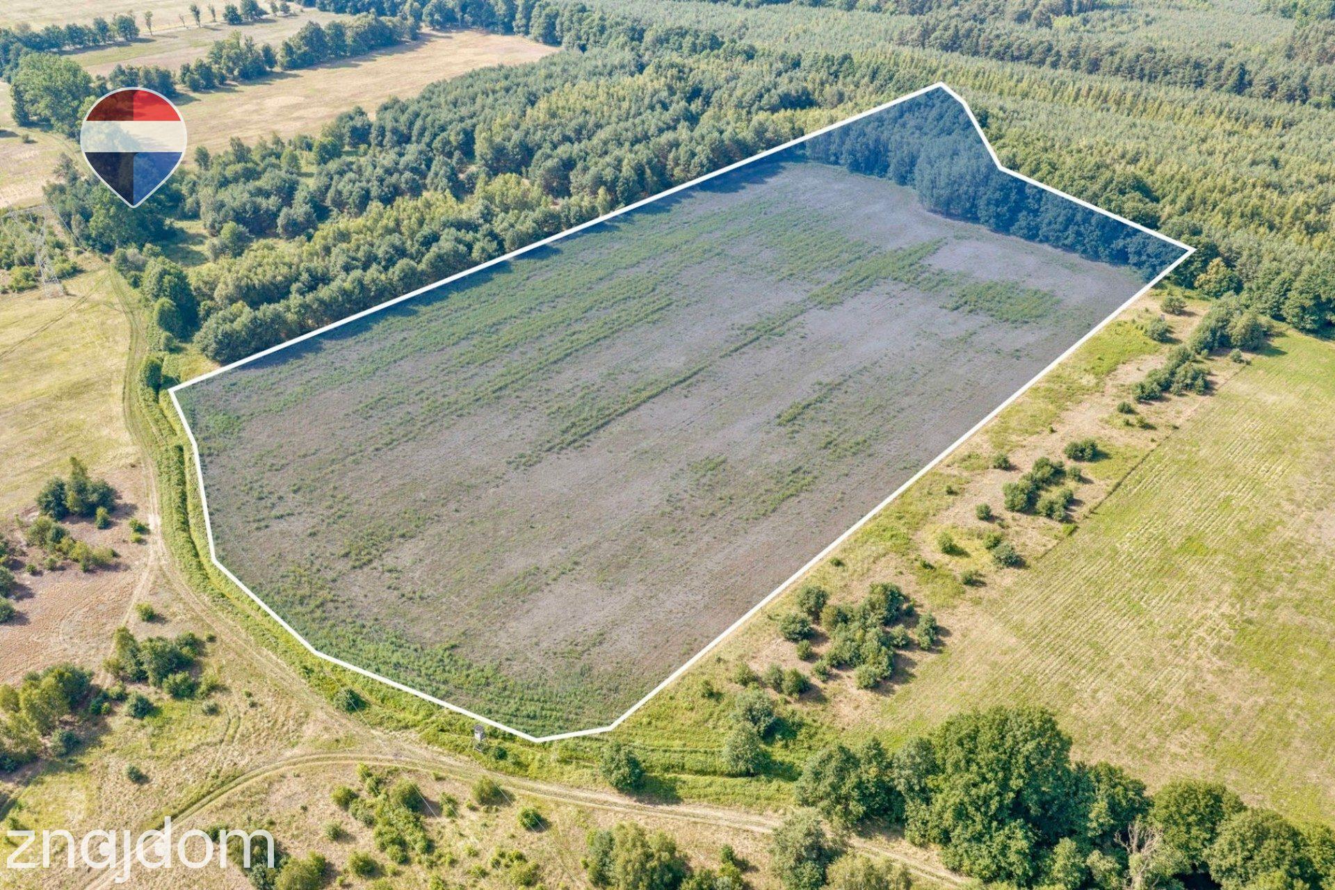 Działka rolna 5,21 ha w Jarogniewicach - zdjęcie 3