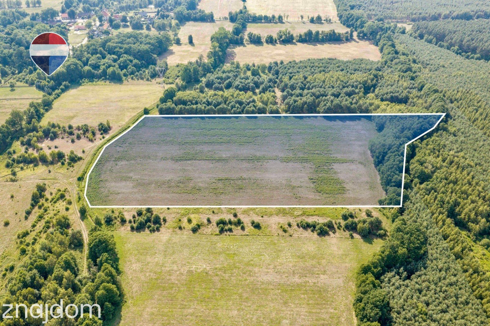 Działka rolna 5,21 ha w Jarogniewicach - zdjęcie 4
