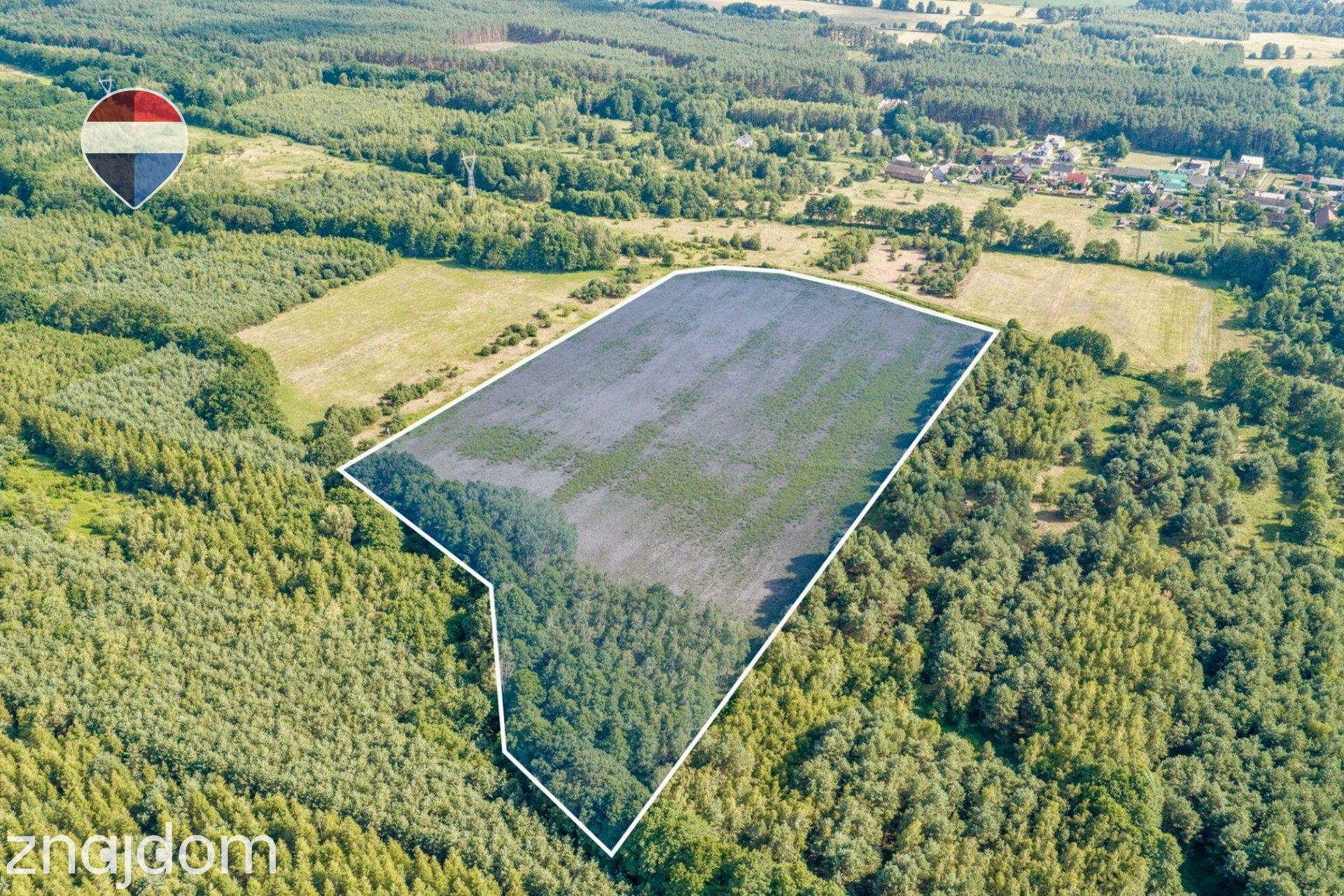Działka rolna 5,21 ha w Jarogniewicach - zdjęcie 6