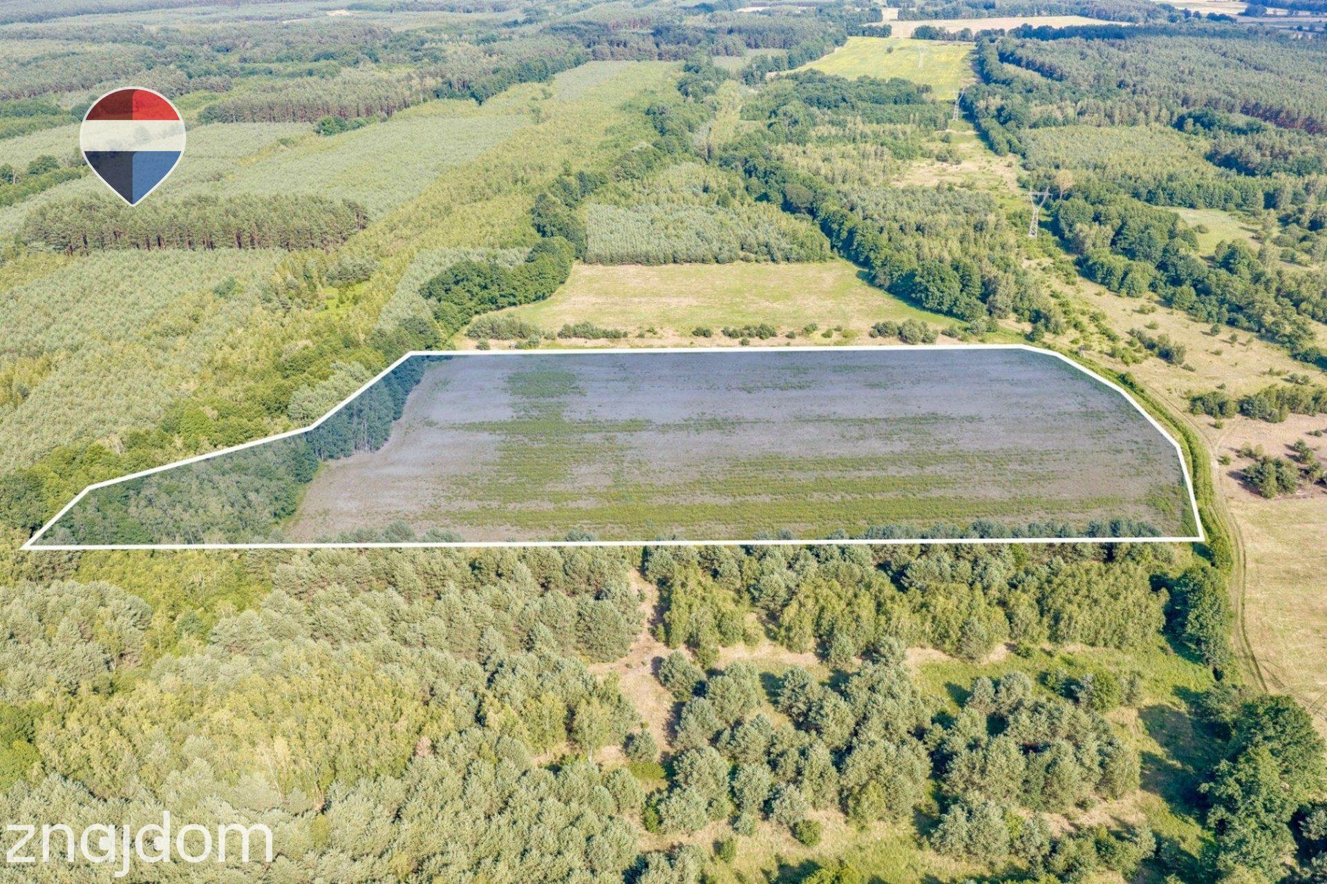 Działka rolna 5,21 ha w Jarogniewicach - zdjęcie 7