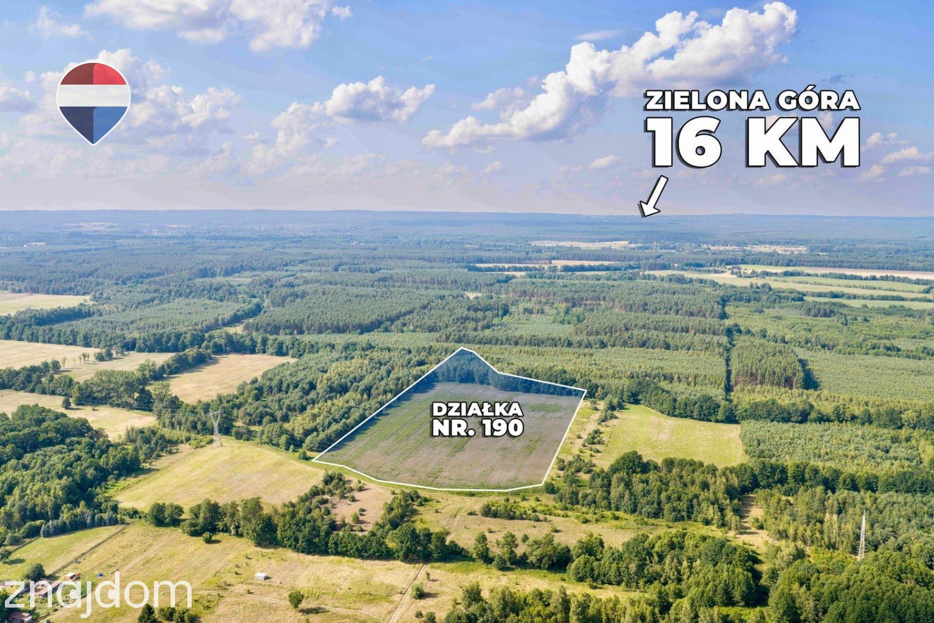 Działka rolna 5,21 ha w Jarogniewicach - zdjęcie 9