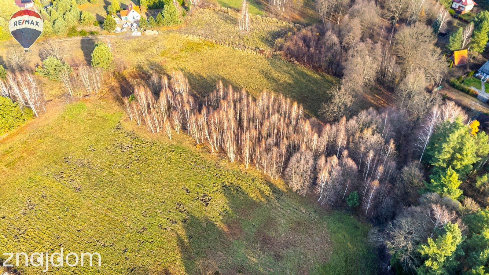 Działka Arciechów, Jezioro Zegrzyński - zdjęcie 3