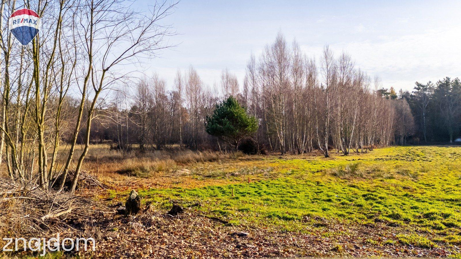 Działka Arciechów, Jezioro Zegrzyński - zdjęcie 6