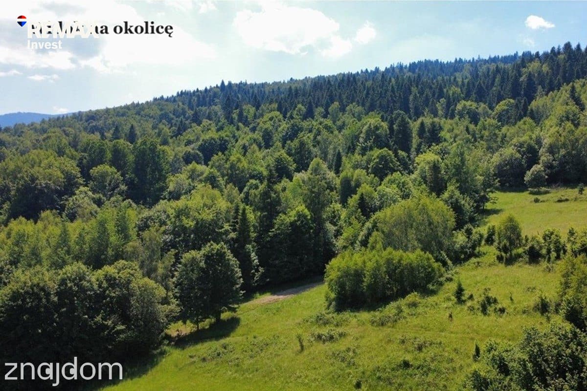 Działka 2262 m² z widokiem na góry - zdjęcie 5