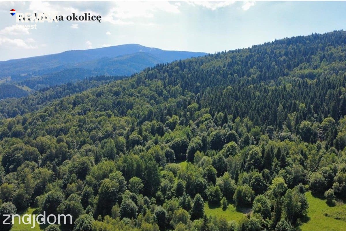Działka 2262 m² z widokiem na góry - zdjęcie 6