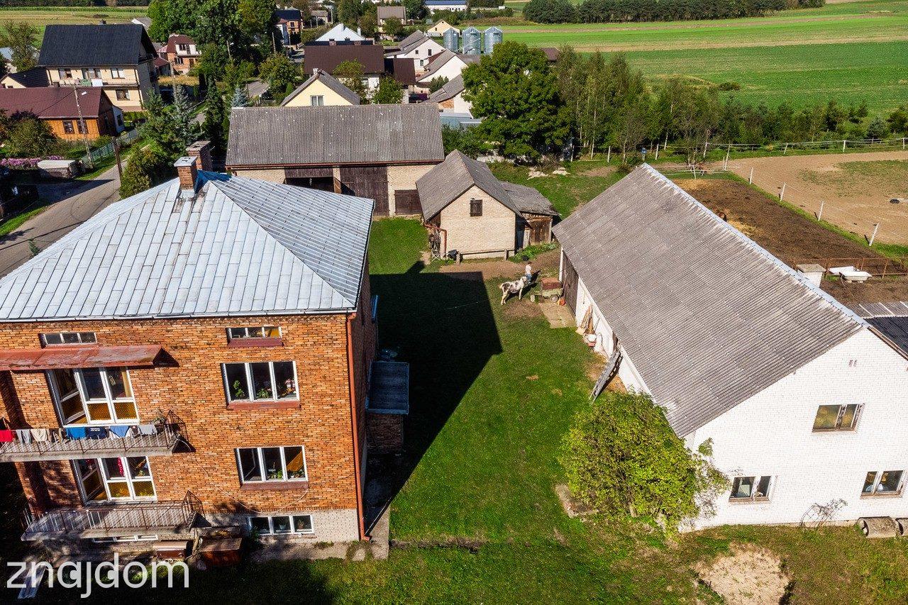 Lgota Wolbromska Gospodarstwo Rolne Stadnina - zdjęcie 17
