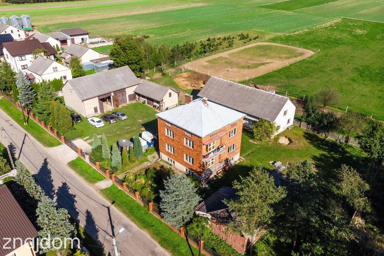 Lgota Wolbromska Gospodarstwo Rolne Stadnina - zdjęcie 20