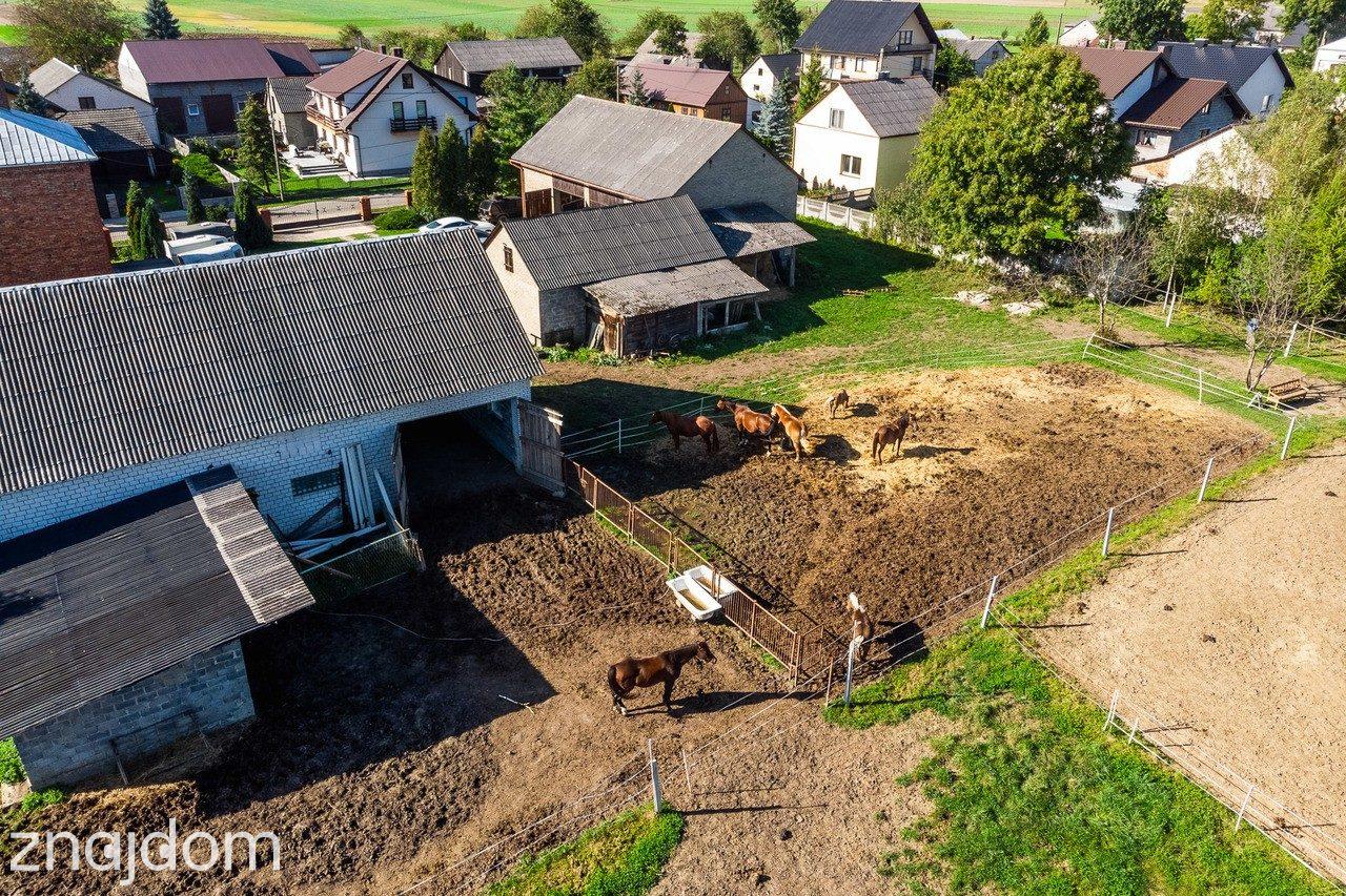 Lgota Wolbromska Gospodarstwo Rolne Stadnina - zdjęcie 25