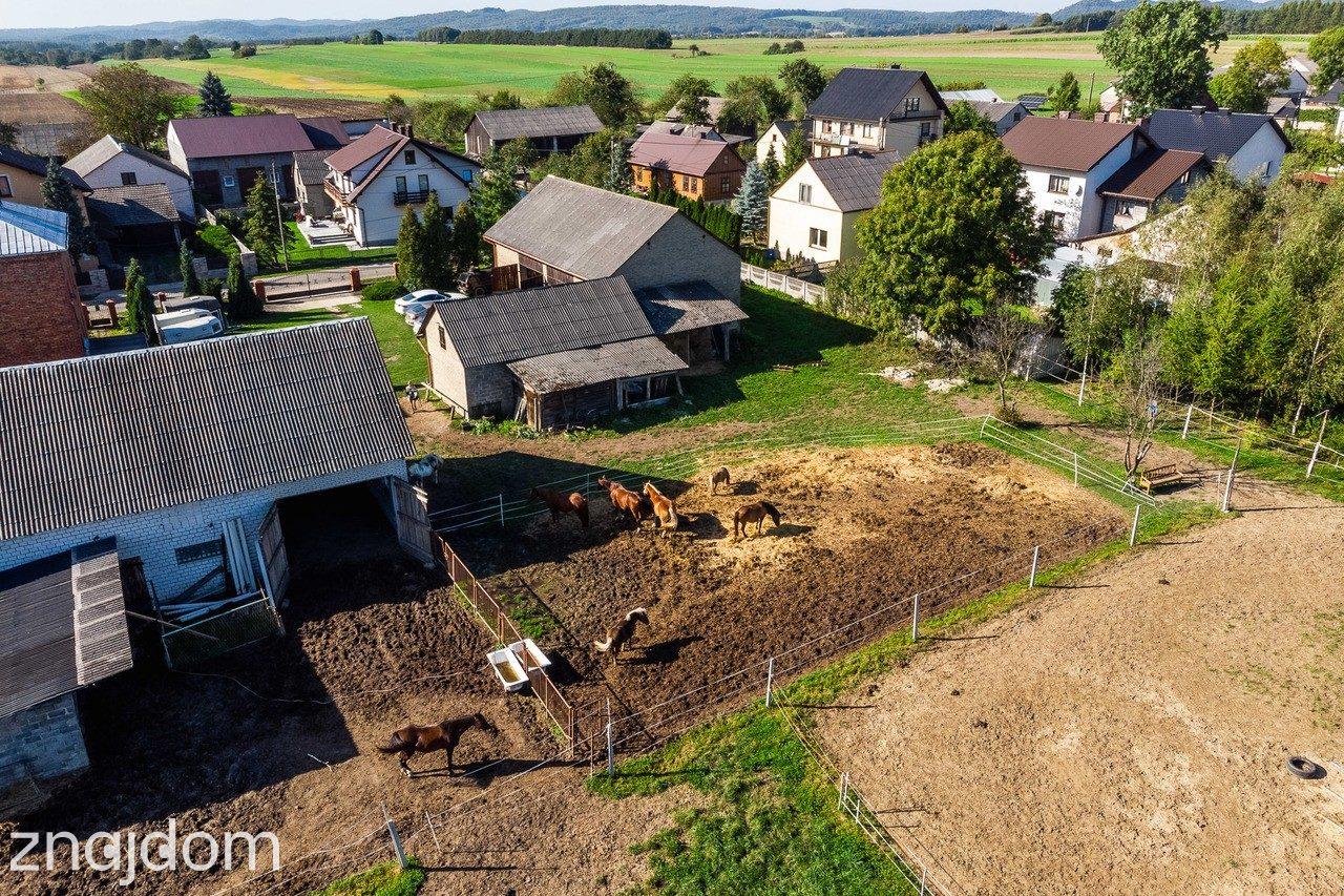 Lgota Wolbromska Gospodarstwo Rolne Stadnina - zdjęcie 26