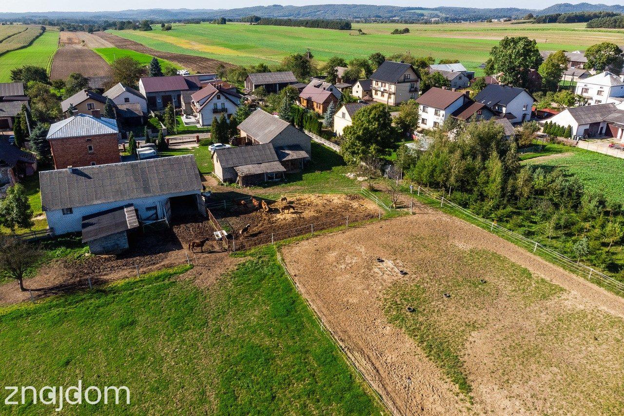 Lgota Wolbromska Gospodarstwo Rolne Stadnina - zdjęcie 27