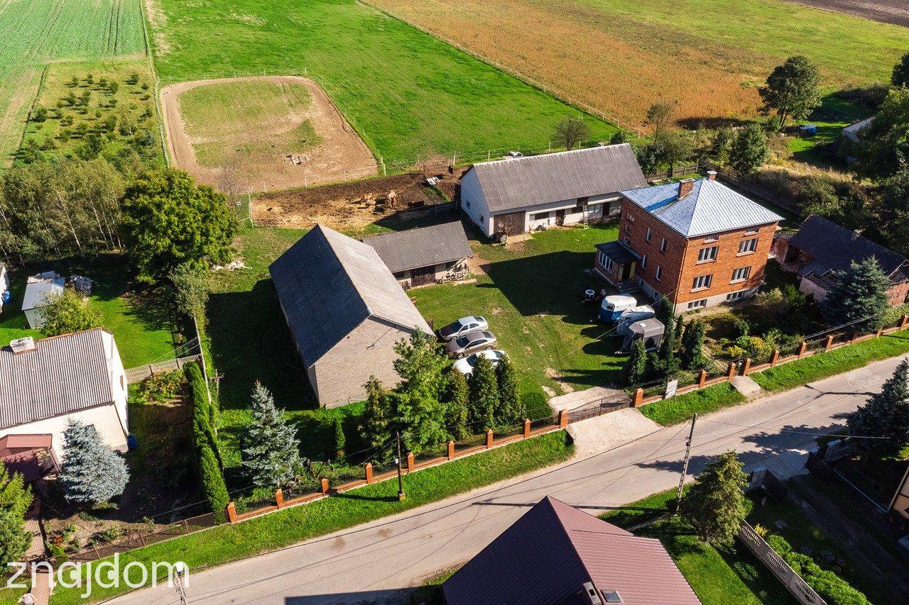 Lgota Wolbromska Gospodarstwo Rolne Stadnina - zdjęcie 4