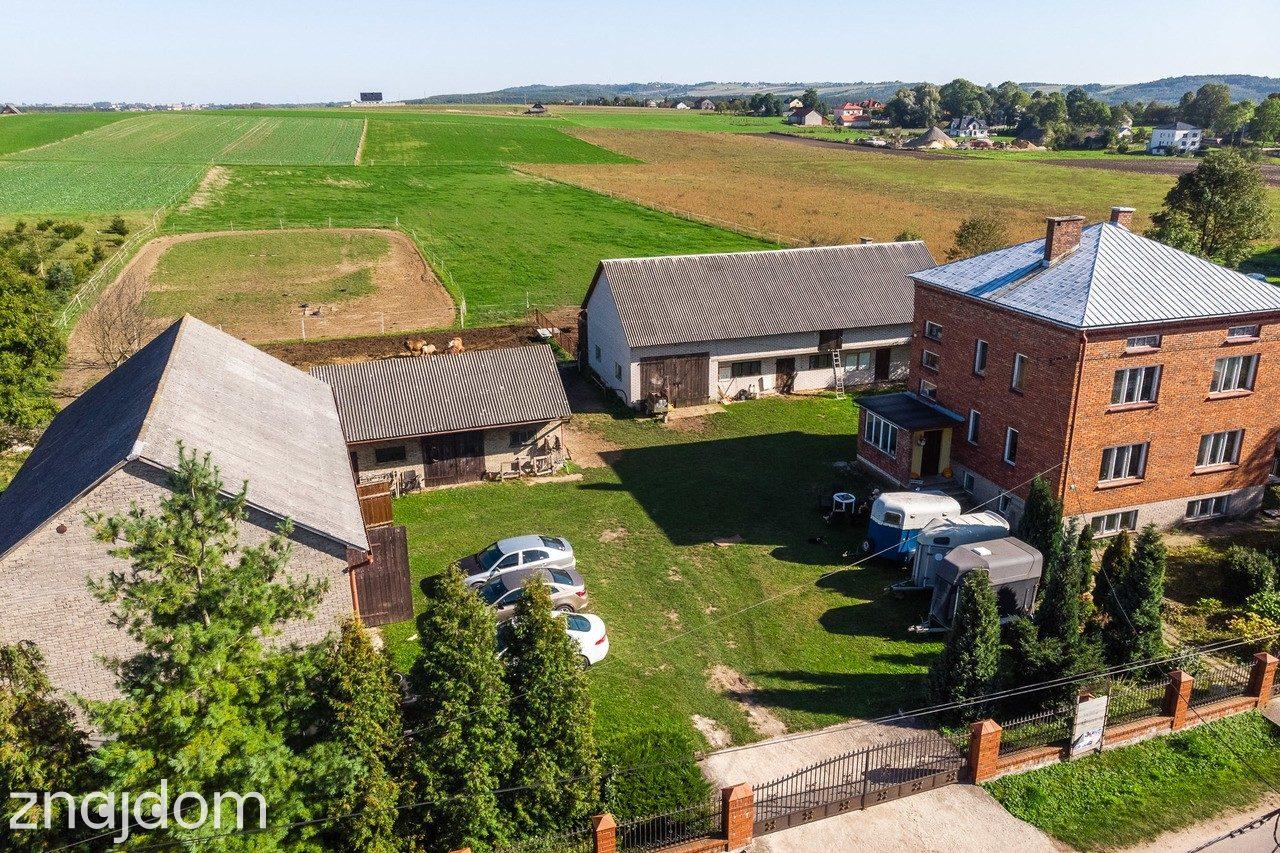 Lgota Wolbromska Gospodarstwo Rolne Stadnina - zdjęcie 7