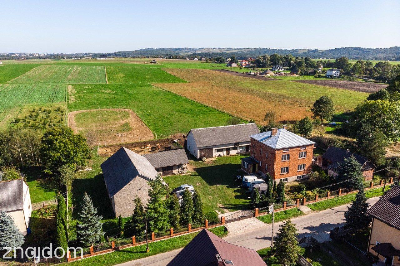 Lgota Wolbromska Gospodarstwo Rolne Stadnina - zdjęcie 8