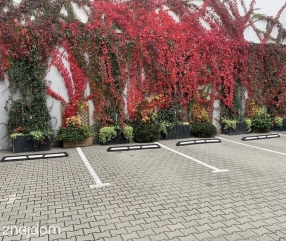 KAMIENICA STARY RYNEK CENTRUM BIZNES WOŹNA - zdjęcie 5