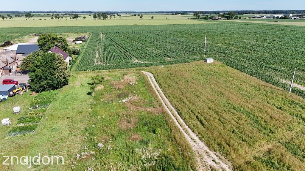 Działka budowlana| Czerlejno | MPZP | Kostrzyn - zdjęcie 9