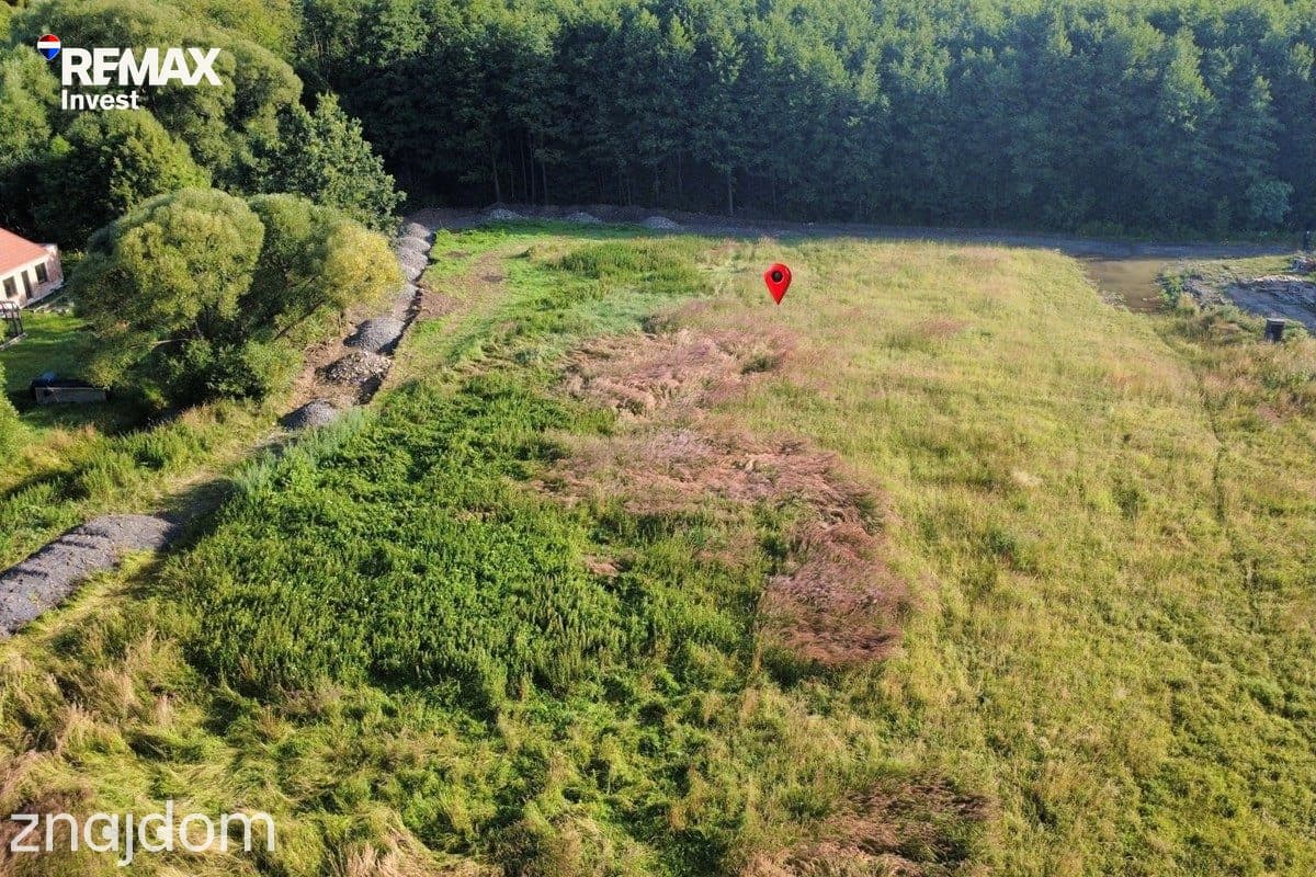 Działka pod lasem 2438 m² Międzyrzecze Górne - zdjęcie 4