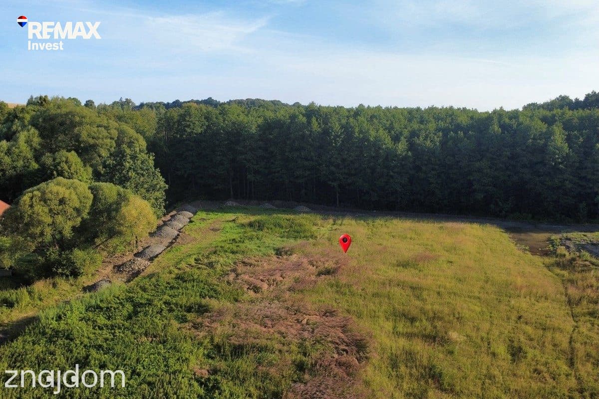 Działka pod lasem 2438 m² Międzyrzecze Górne - zdjęcie 6
