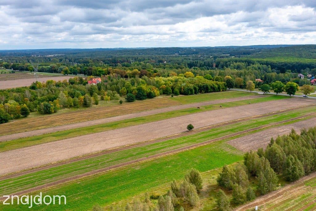 Spokojna działka 1400 m² | Skotniki | Media | WZ - zdjęcie 10