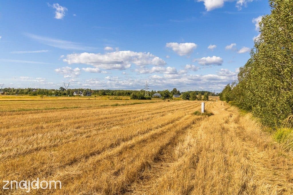 Spokojna działka 1400 m² | Skotniki | Media | WZ - zdjęcie 11