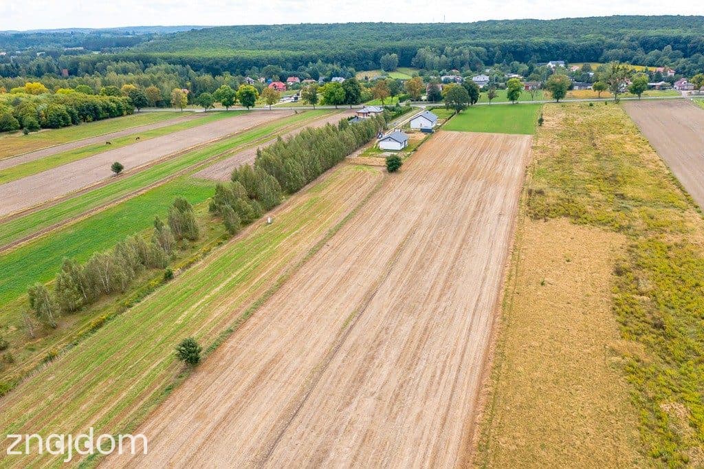 Spokojna działka 1400 m² | Skotniki | Media | WZ - zdjęcie 2
