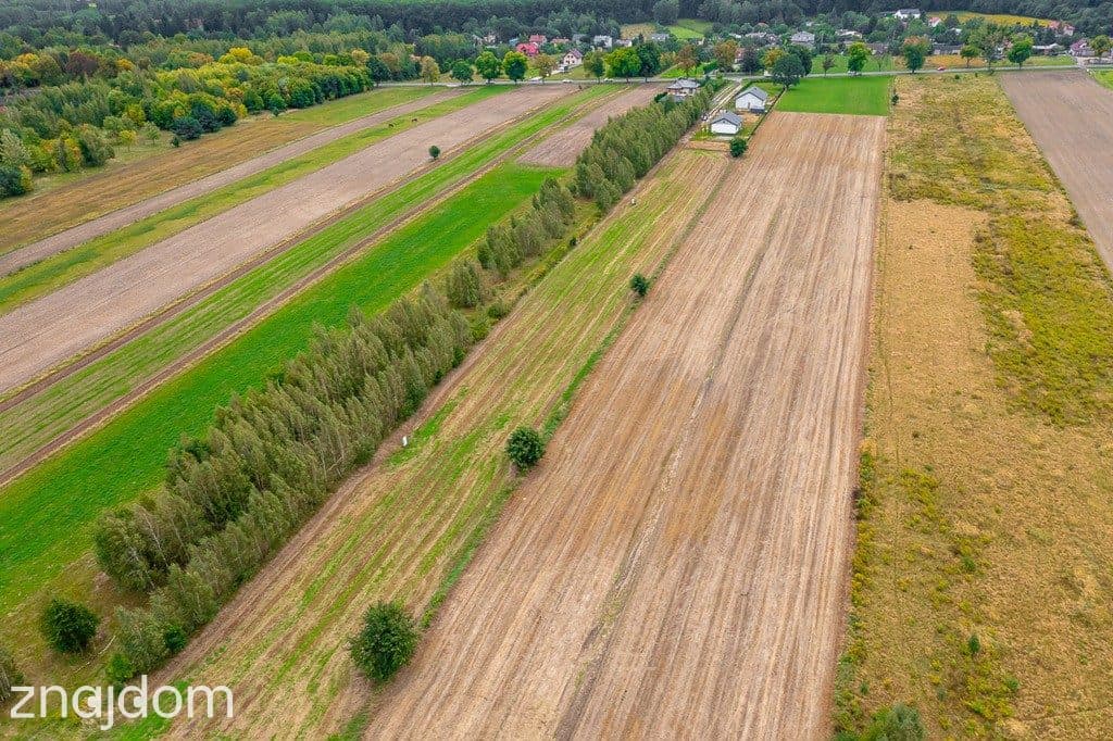 Spokojna działka 1400 m² | Skotniki | Media | WZ - zdjęcie 3