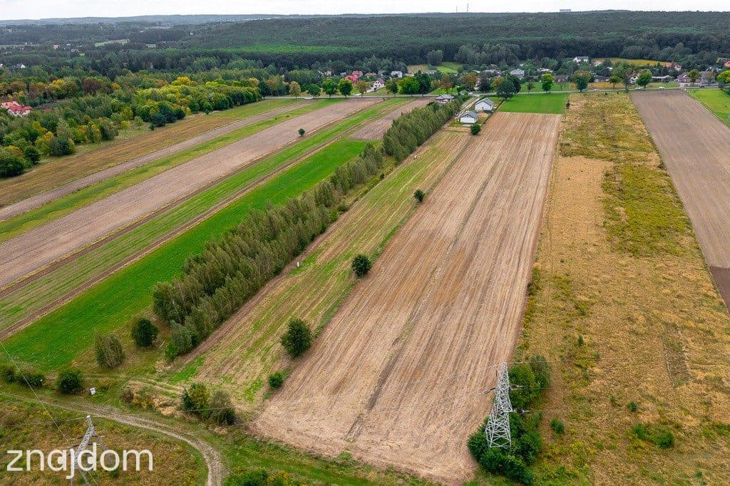 Spokojna działka 1400 m² | Skotniki | Media | WZ - zdjęcie 4